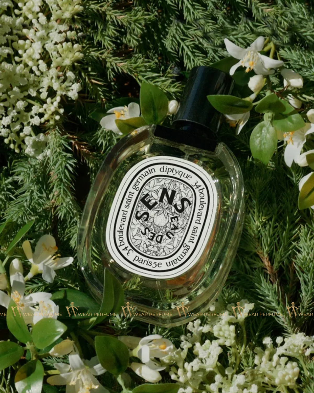  Diptyque Eau des Sens EDT 