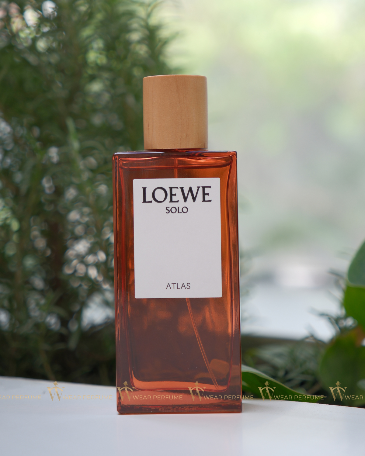  Loewe Solo Atlas EDP 
