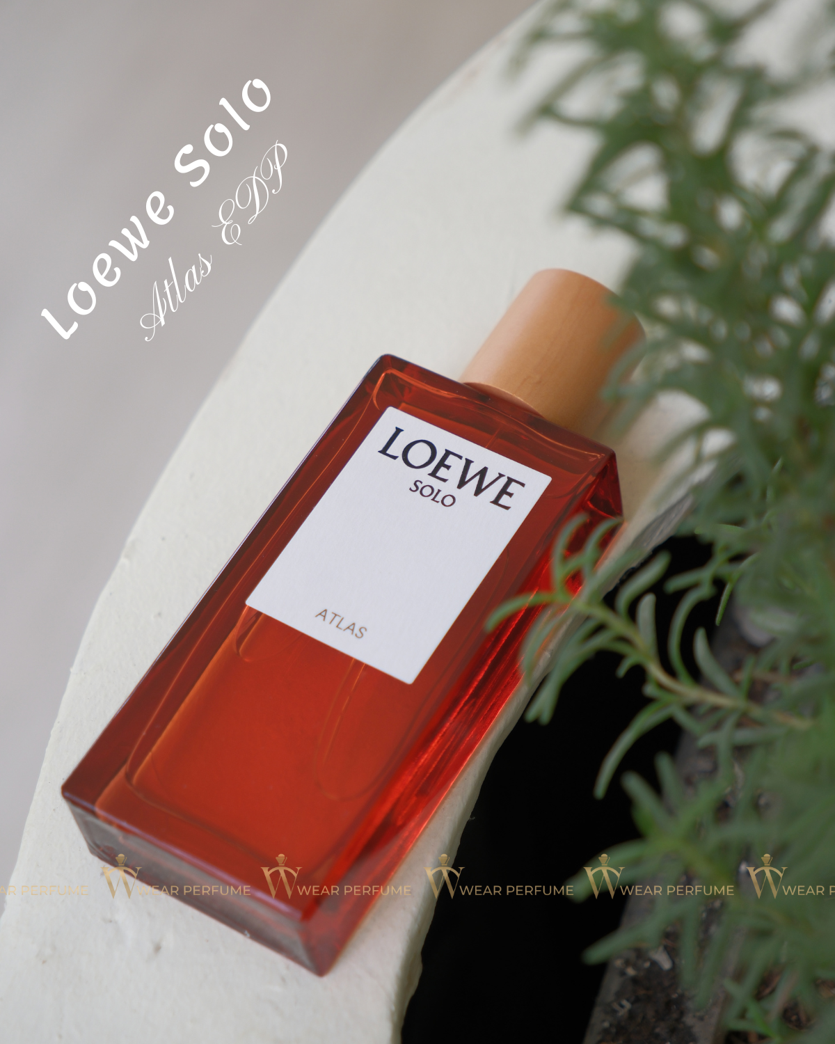  Loewe Solo Atlas EDP 