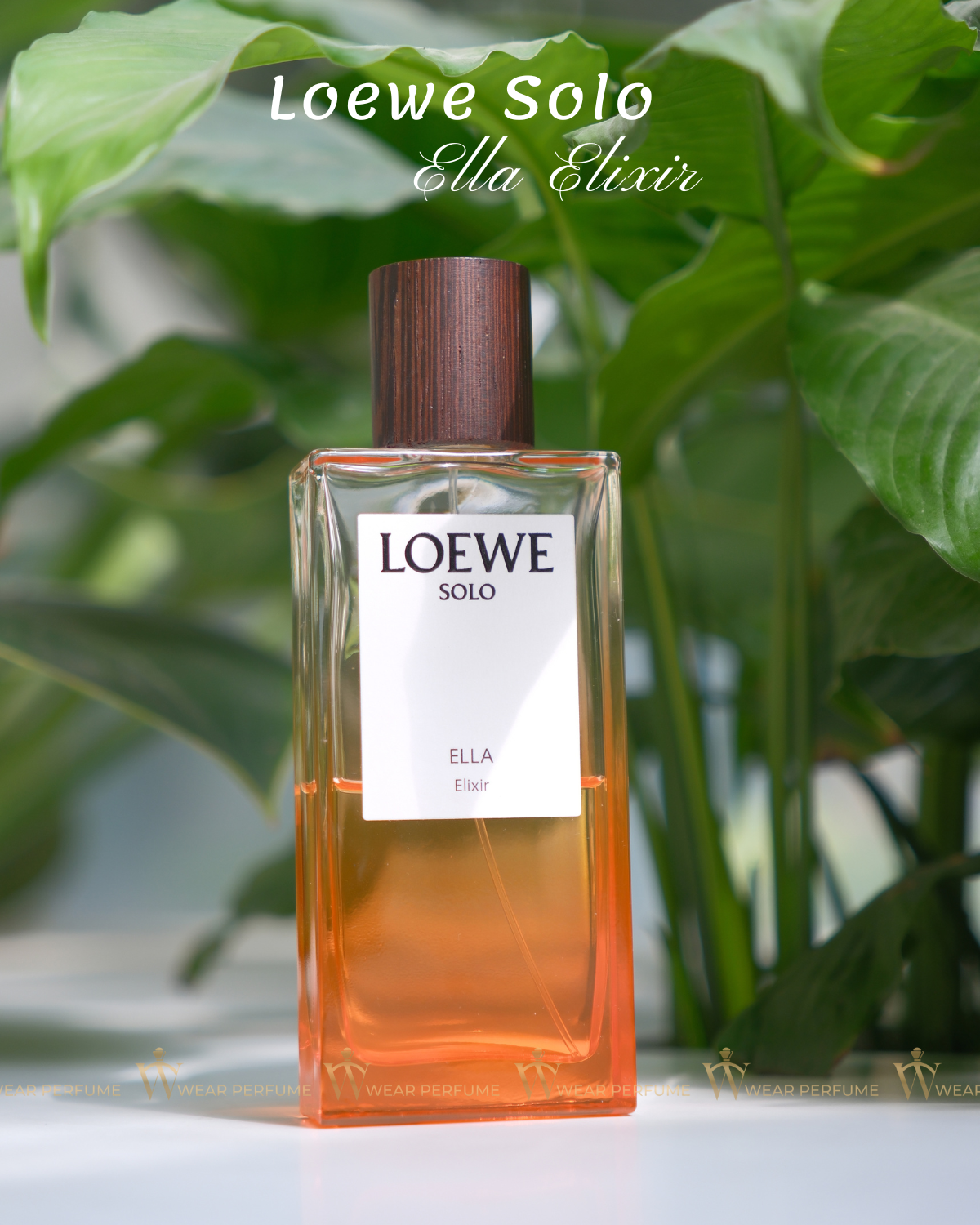  Loewe Solo Ella Elixir 