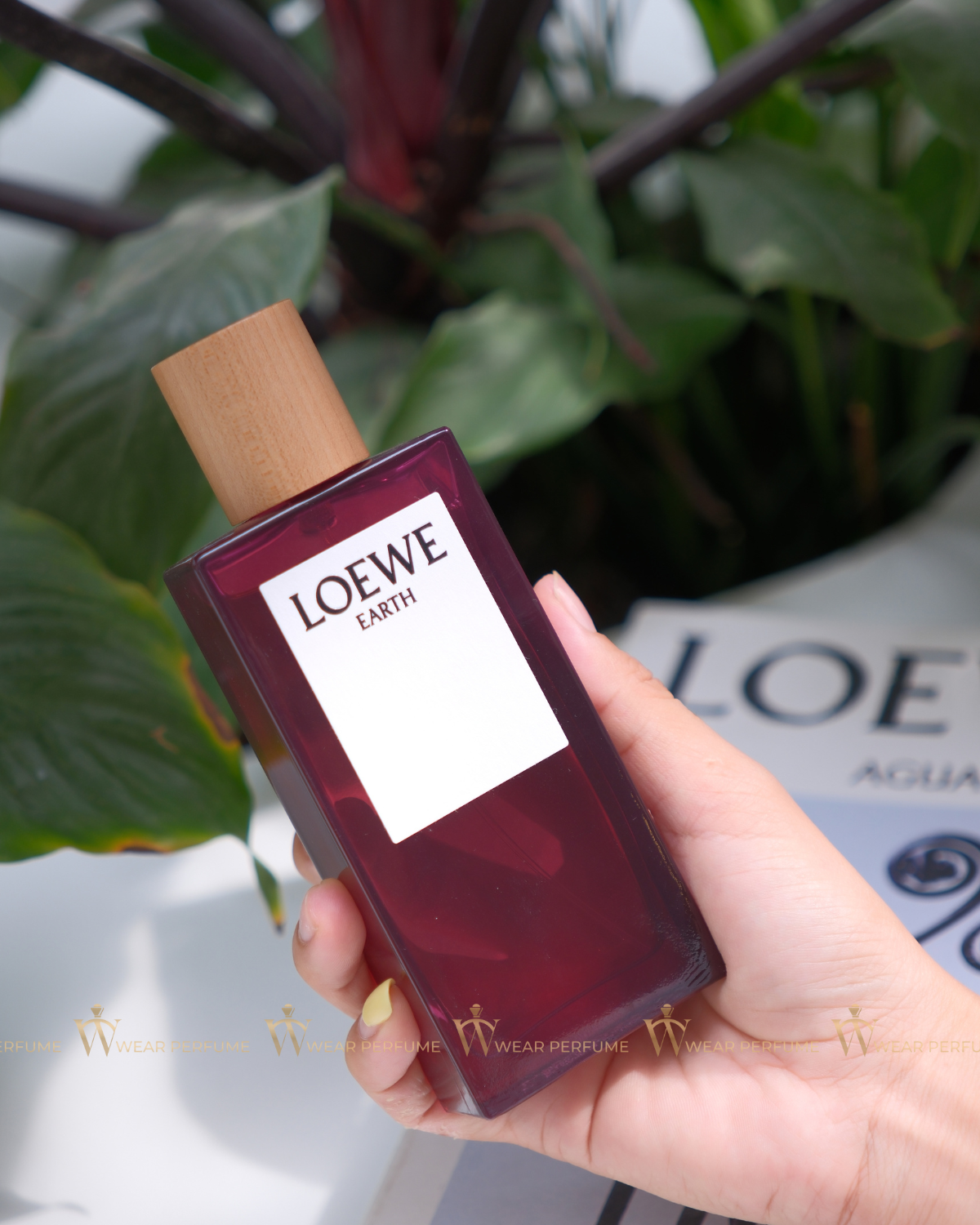  Loewe Earth EDP 