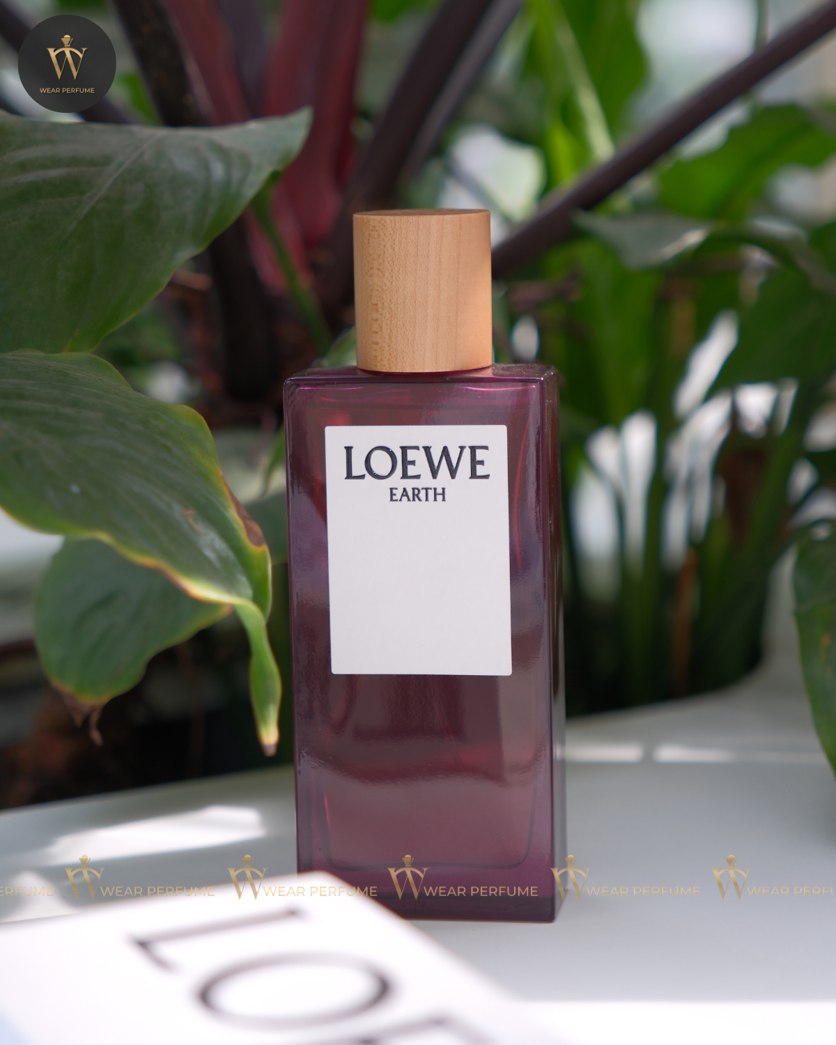  Loewe Earth EDP 