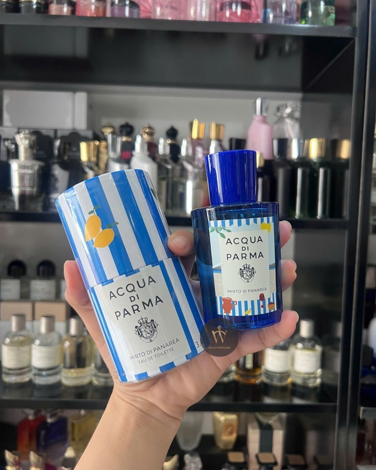  Acqua di Parma Blue Mediterraneo Mirto di Panarea Summer Edition 