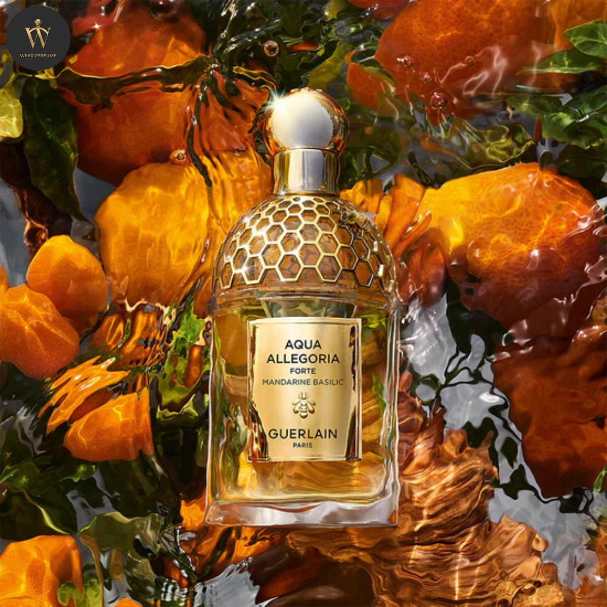  Gift Set Guerlain Aqua Allegoria Mandarine Basilic 