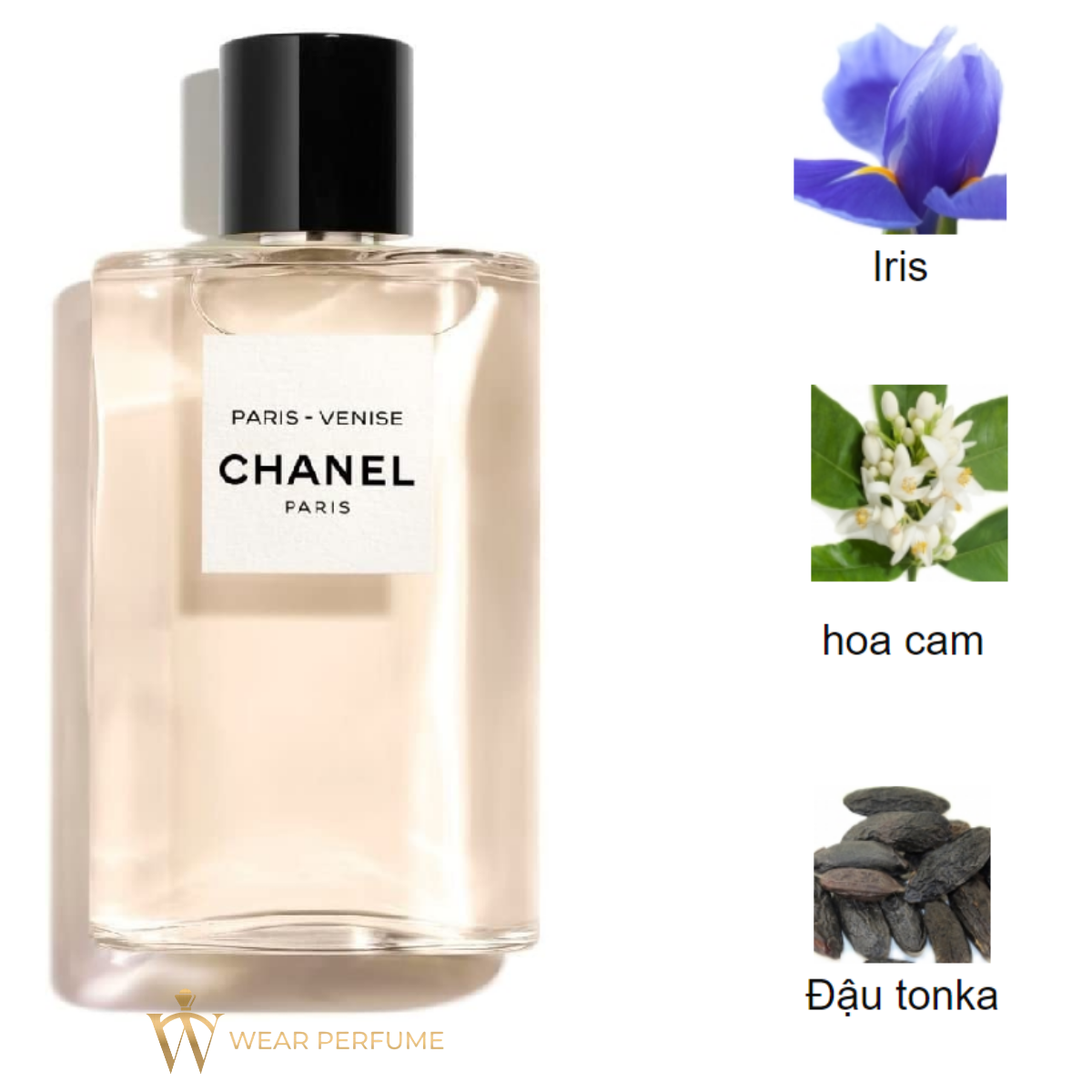 Chanel Paris Venise – wearperfume