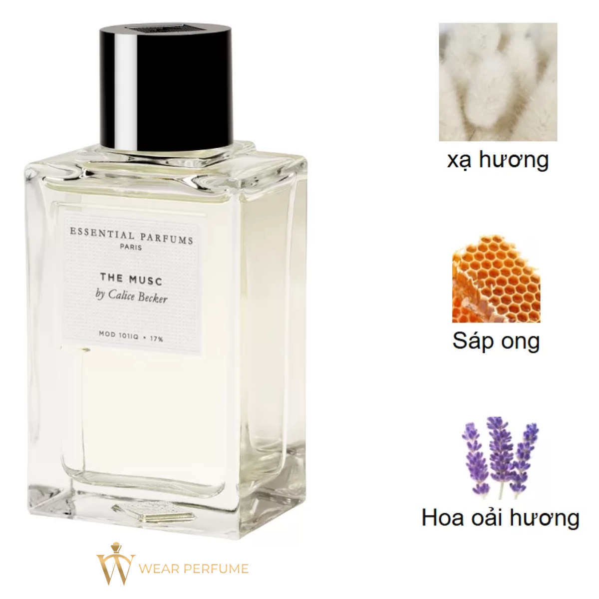  Essential Parfums The Musc EDP 