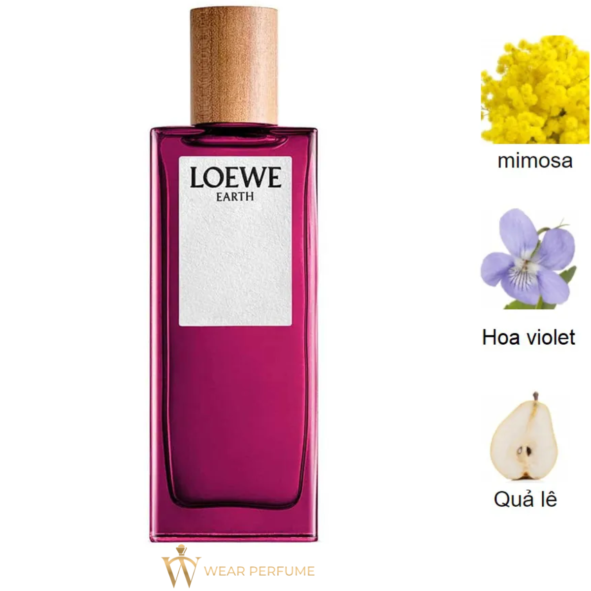  Loewe Earth EDP 