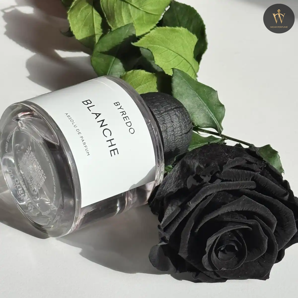  Byredo Blanche Absolu De Parfum 