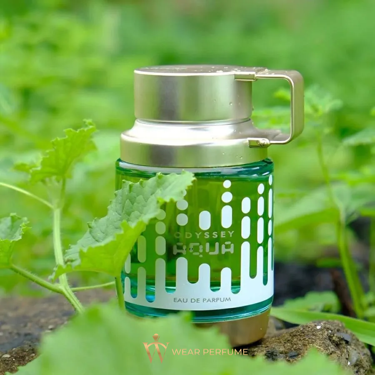  Armaf Odyssey Aqua Edition EDP 