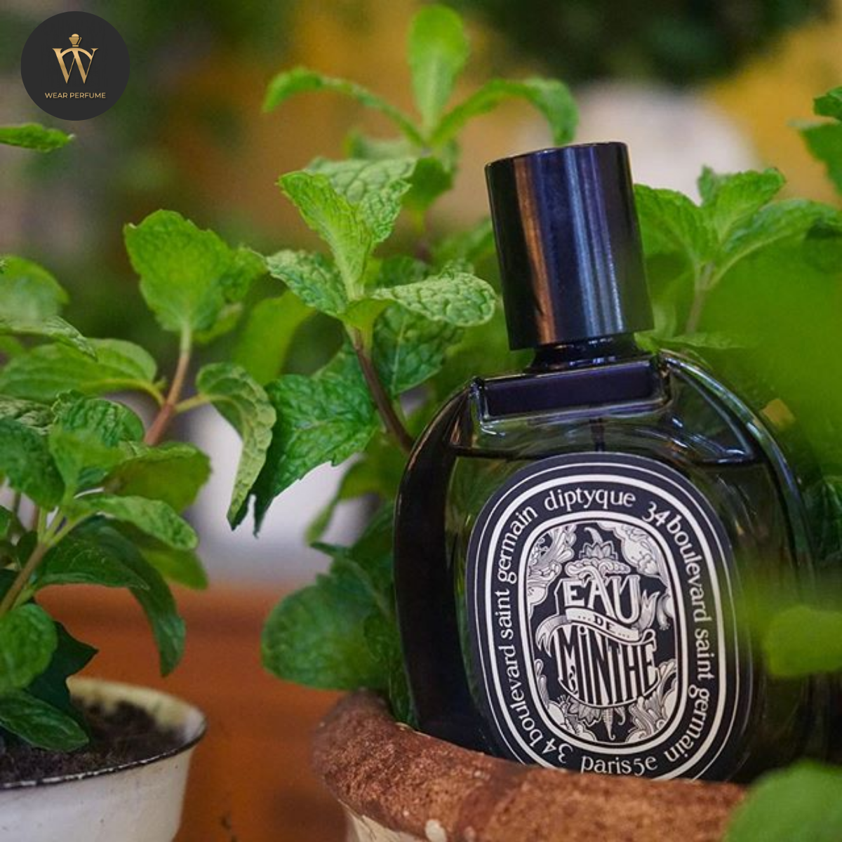  Diptyque Eau de Minthe 