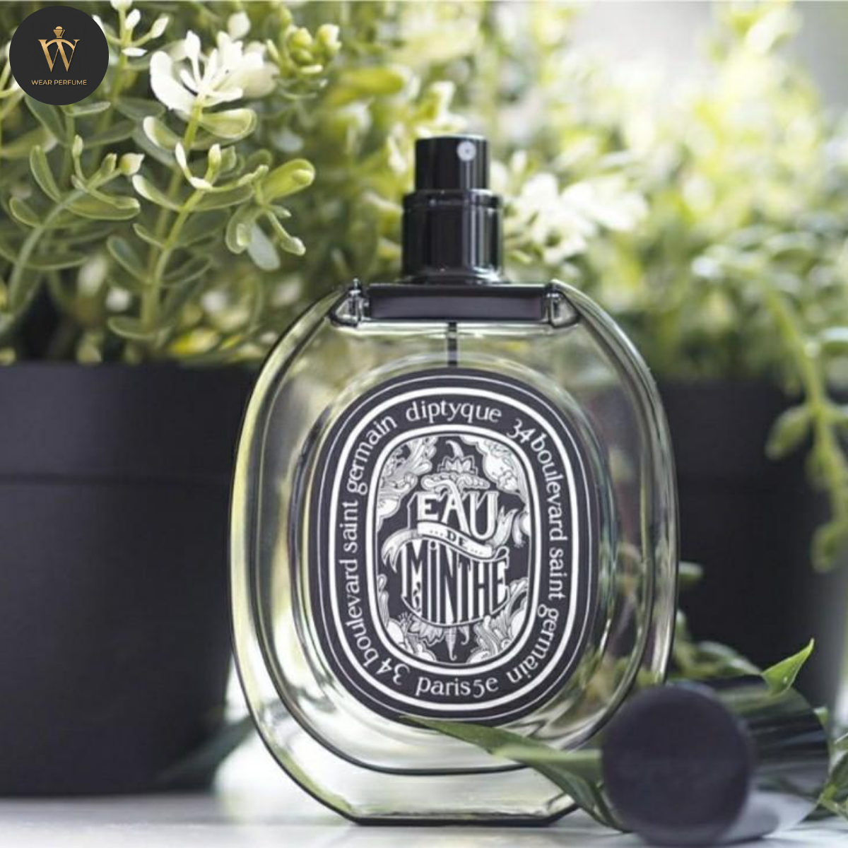  Diptyque Eau de Minthe 