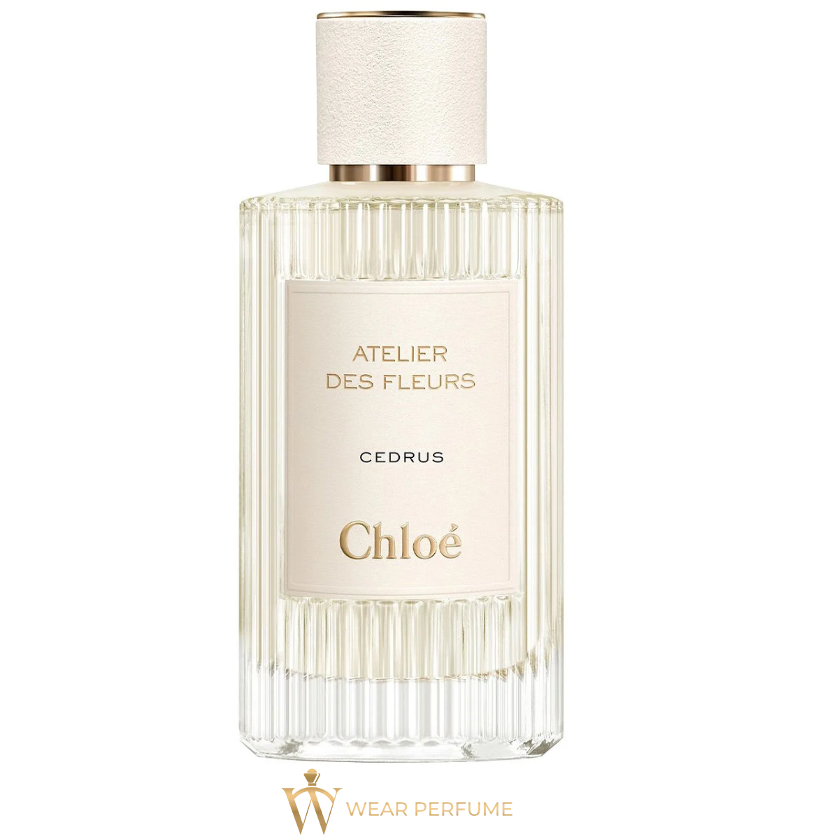  Chloe Atelier Des Fleurs Cedrus 