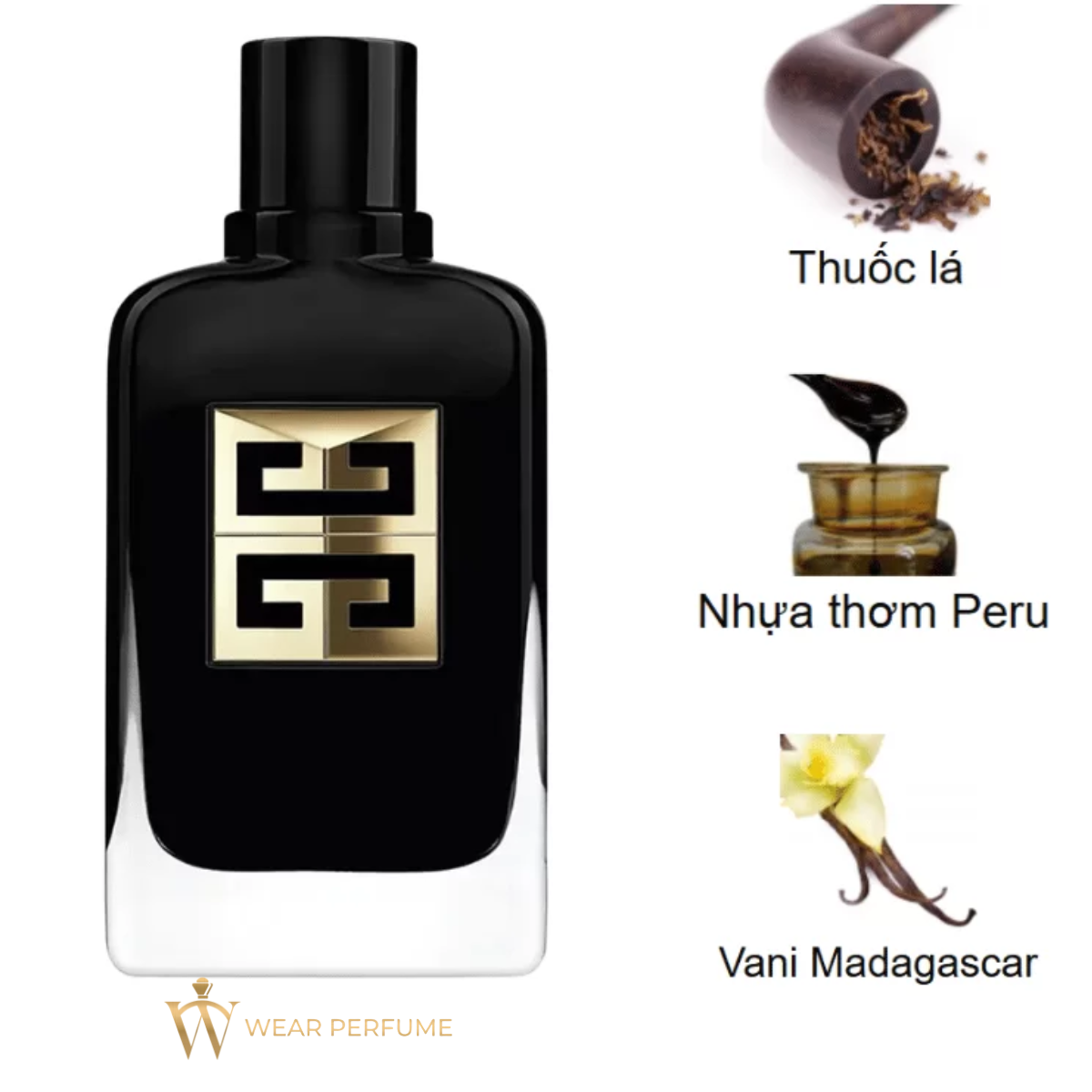  Givenchy Gentleman Society Ambree EDP 