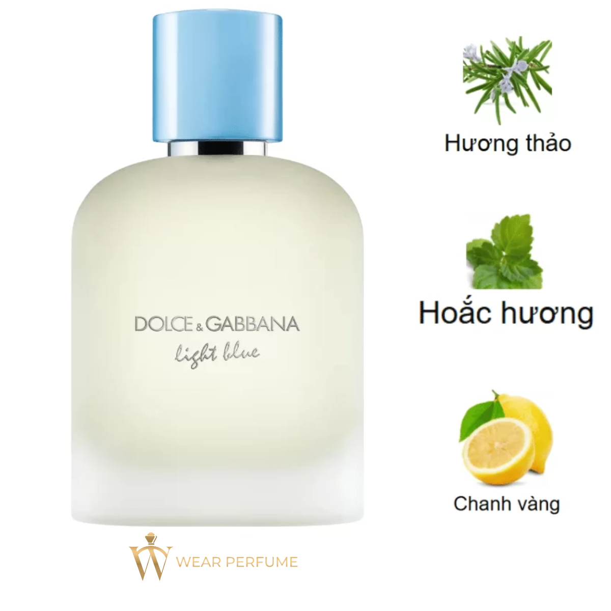  Dolce & Gabbana Light Blue Pour Homme 