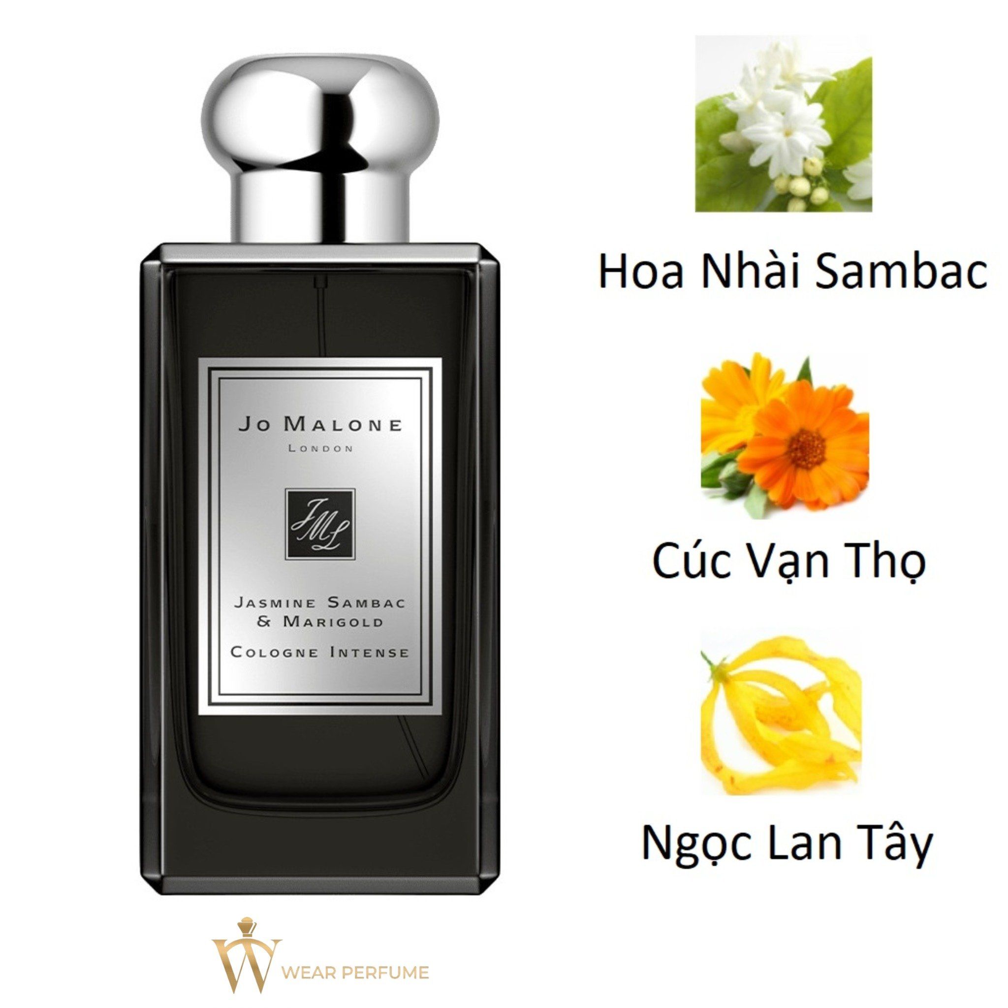  Jo malone Jasmine Sambac & Marigold Cologne Intense 