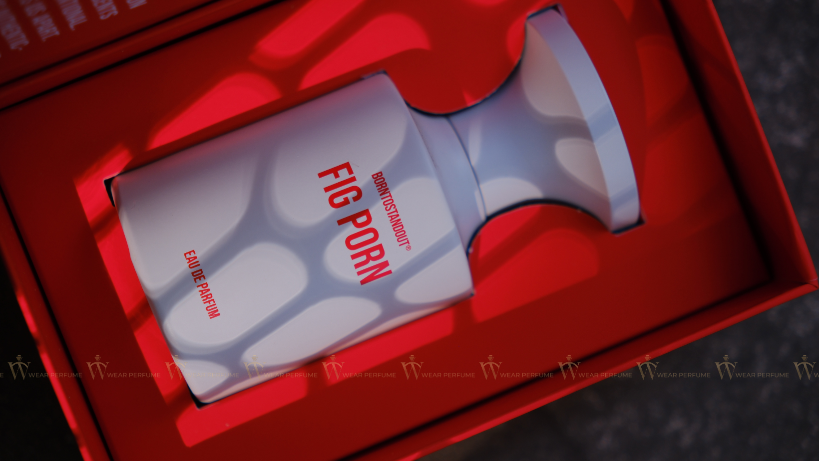  Borntostandout BTSO Fig Forn EDP 