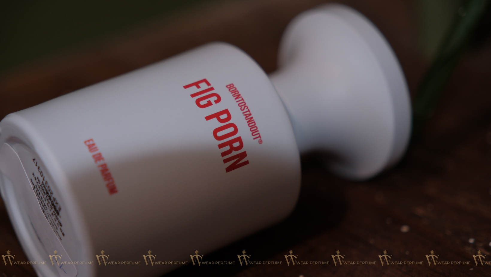  Borntostandout BTSO Fig Forn EDP 