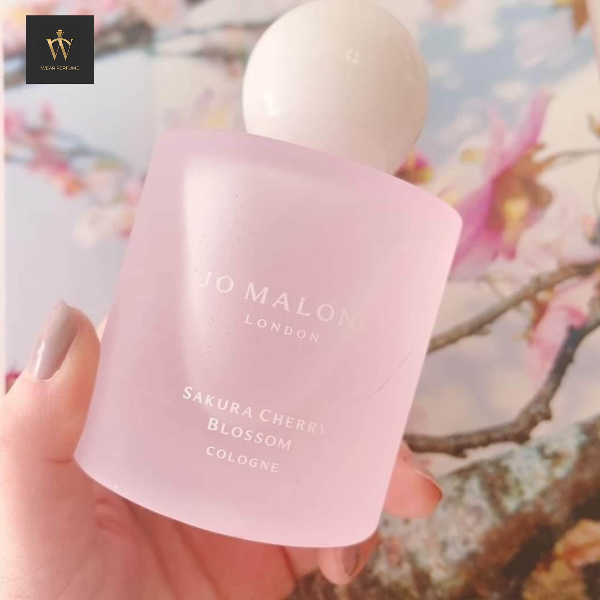  Jo Malone Sakura Cherry Blossom Cologne (Limited Edition 2023) 