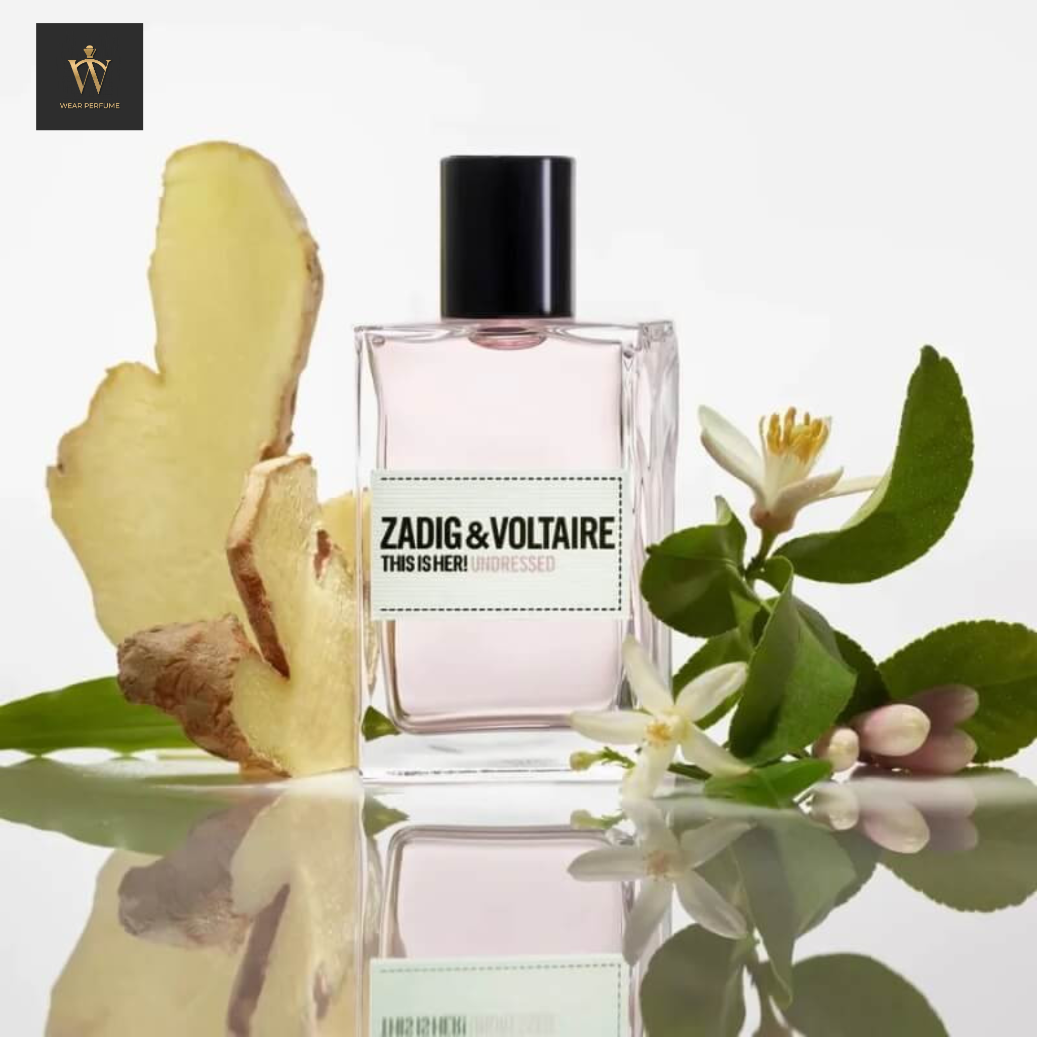  Zadig & Voltaire This Is Her! Undressed 