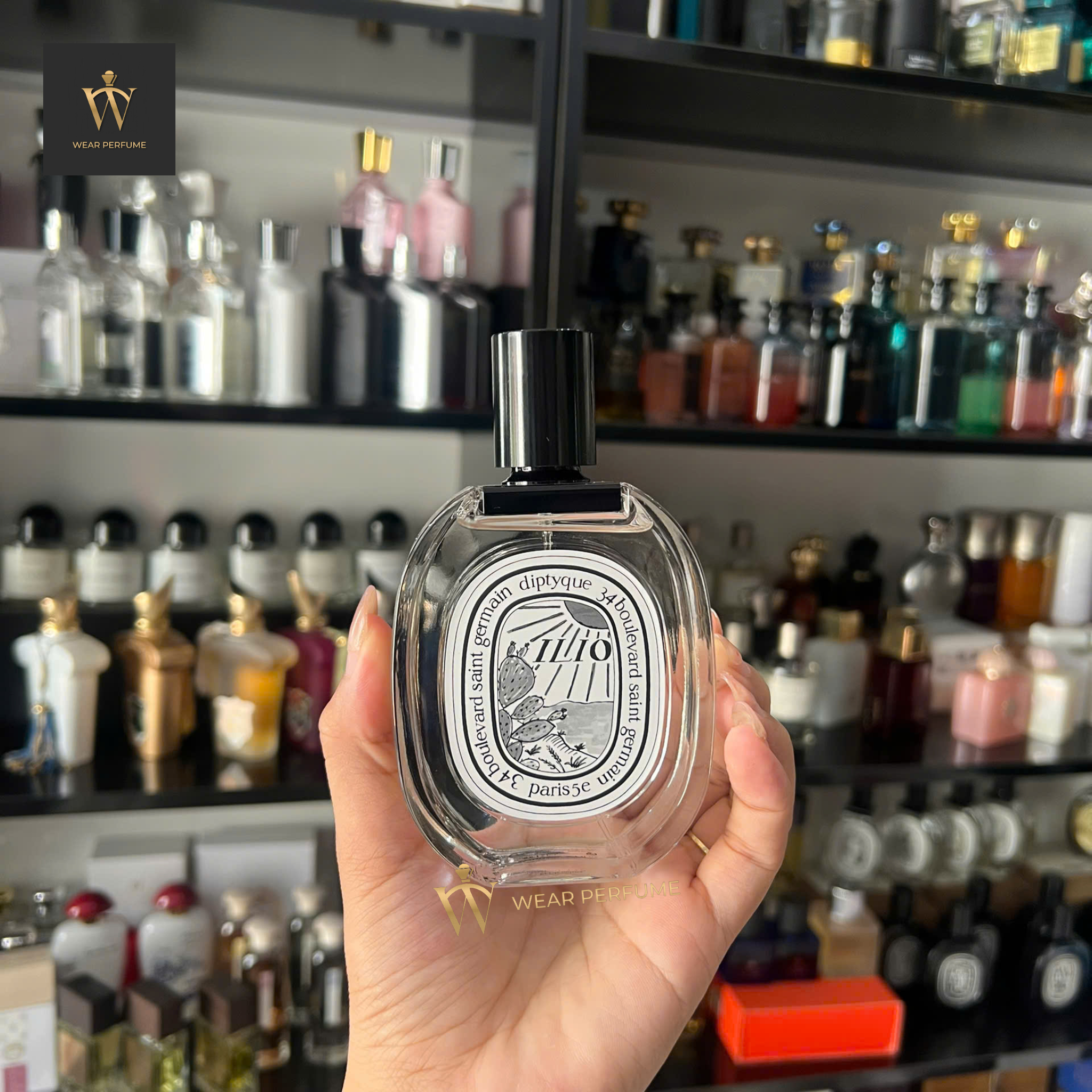  Diptyque Ilio EDT 