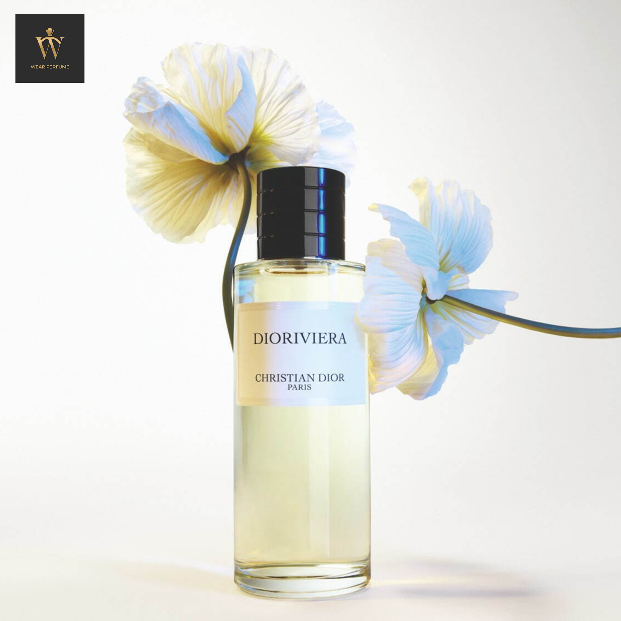  Christian Dior Dioriviera 