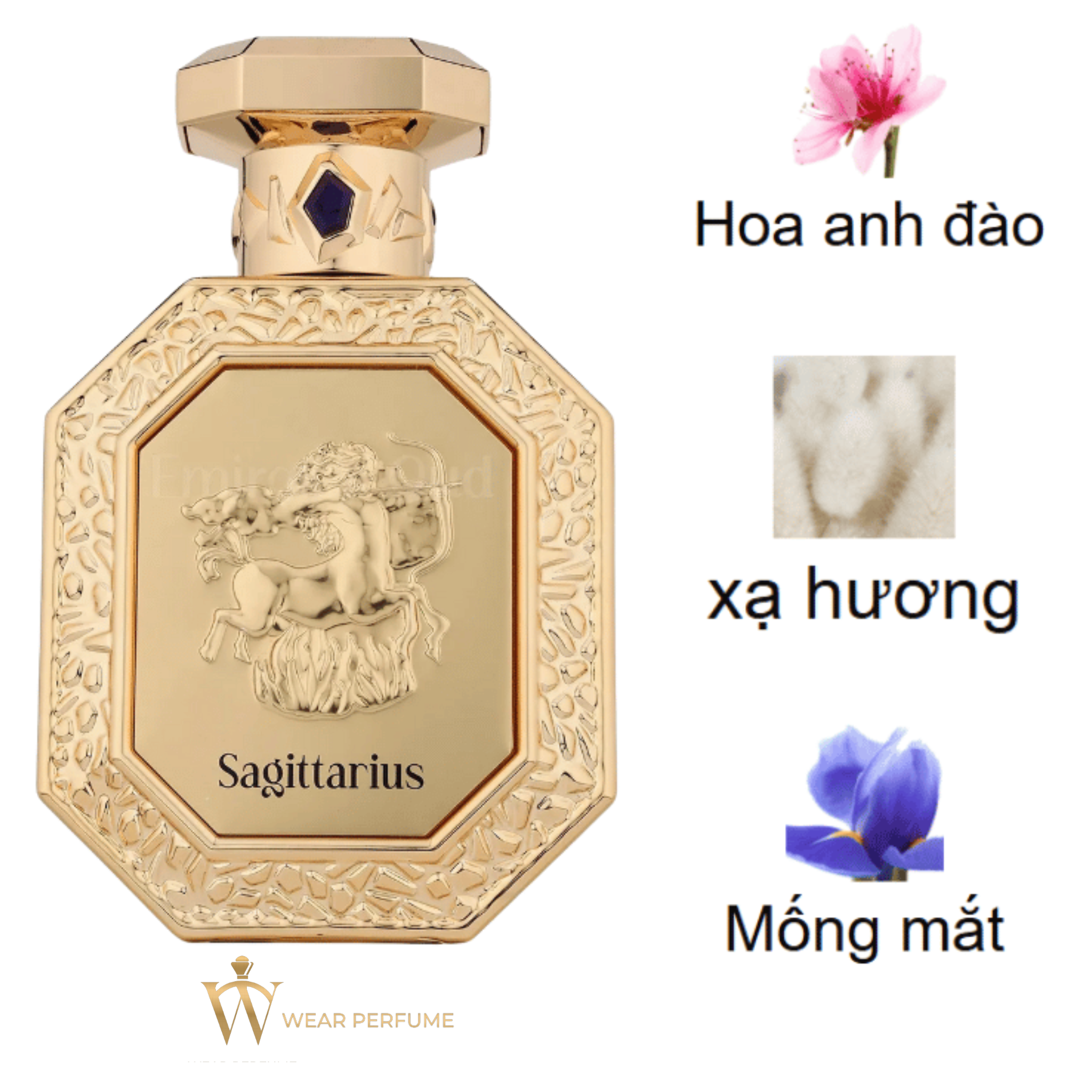  French Avenue Genesis Sagittarius EDP (Cung Nhân Mã) 