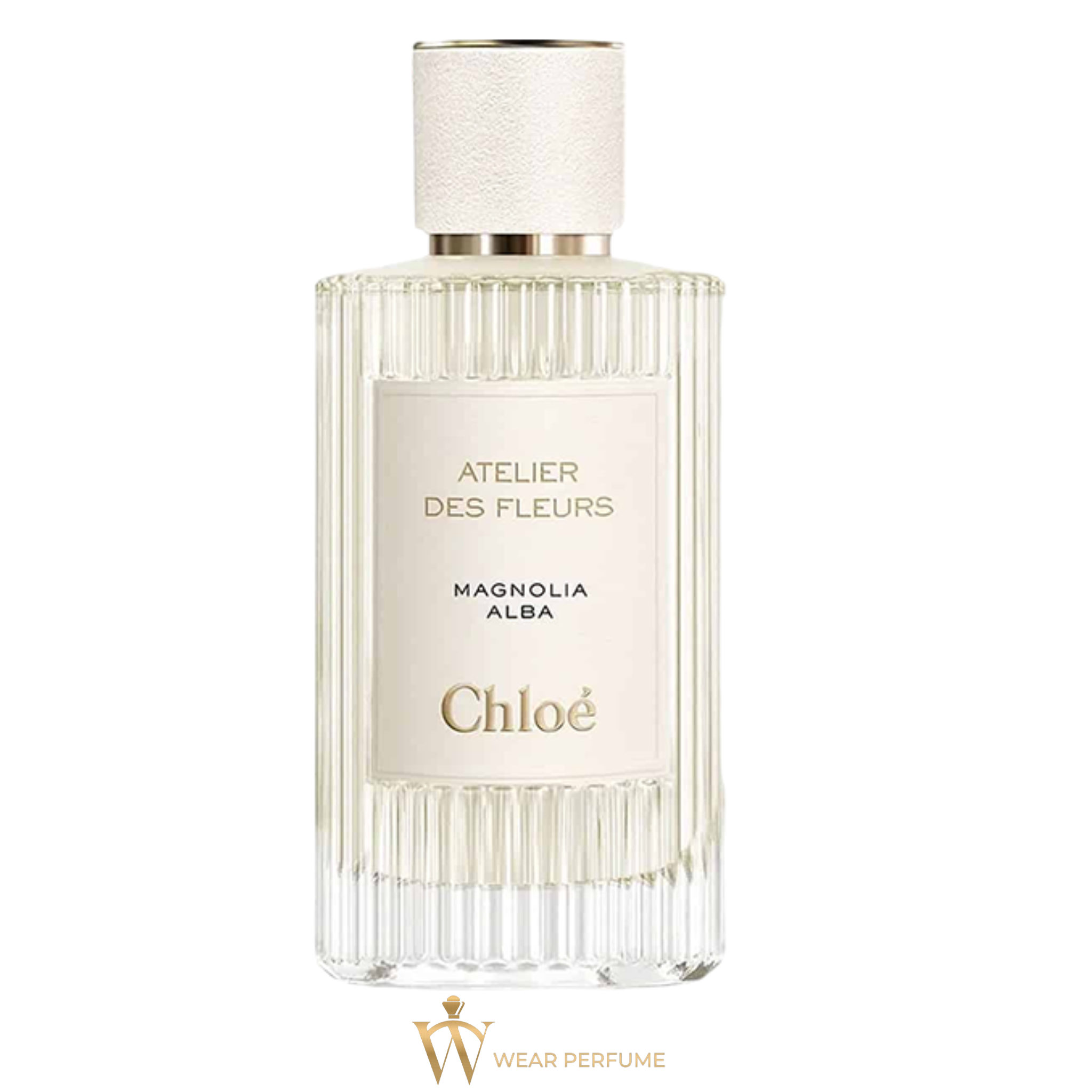  Chloe Atelier Des Fleurs Magnolia Alba 