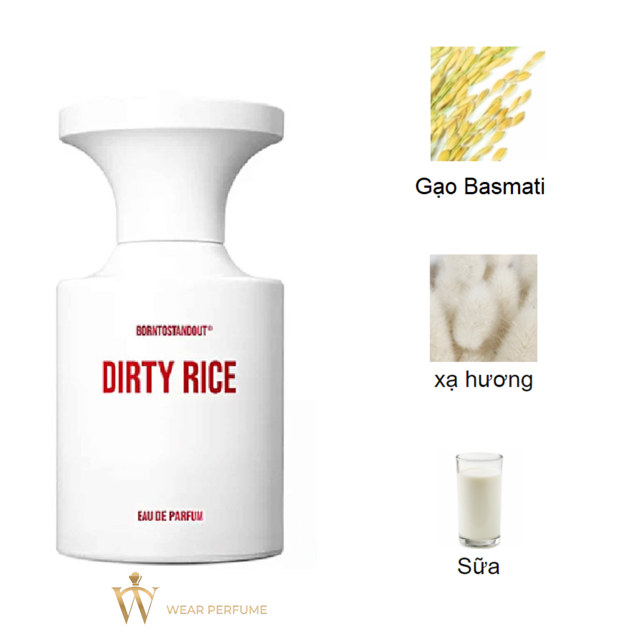  Borntostandout Dirty Rice EDP 