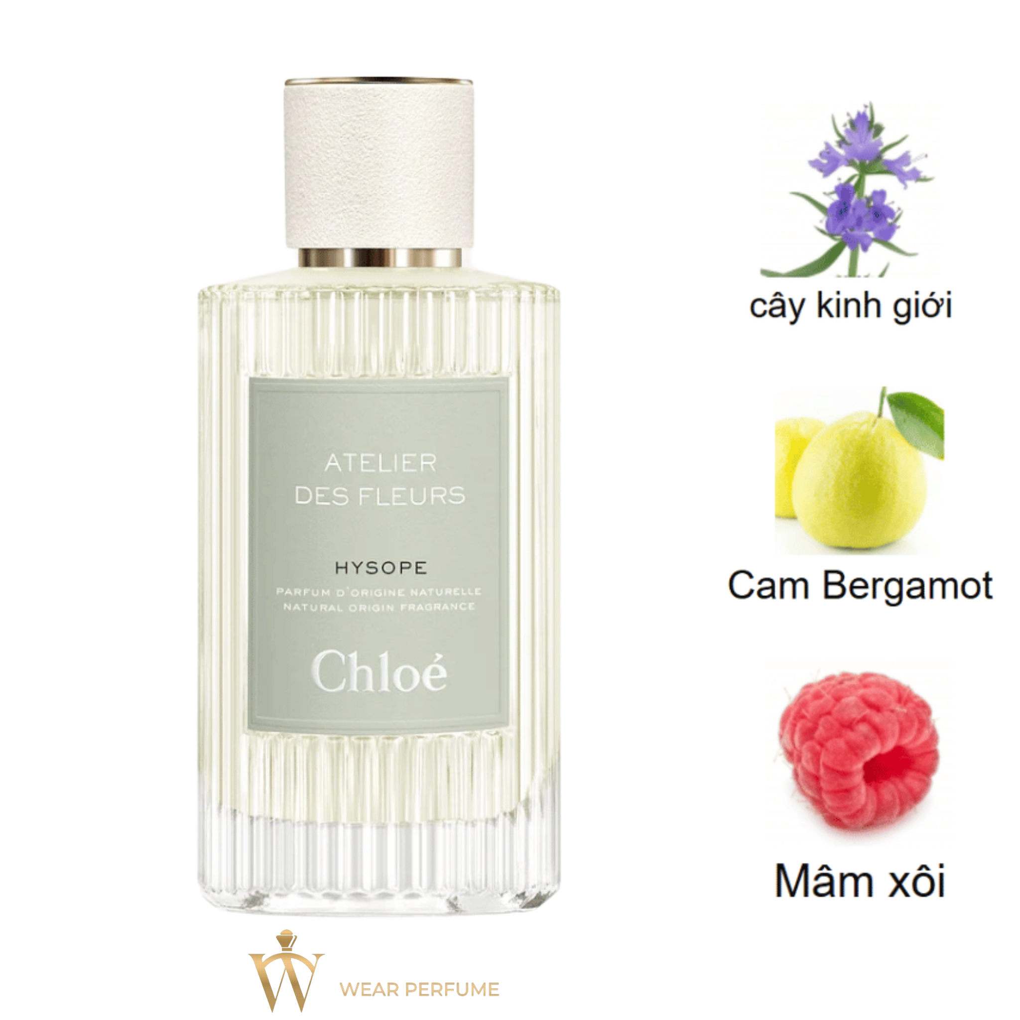  Chloe Atelier Des Fleurs Hysope 