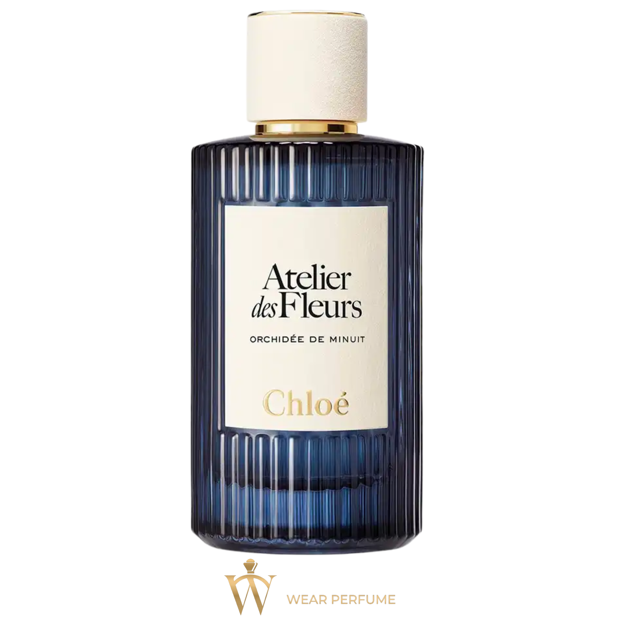  Chloe Atelier des Fleurs Orchidee de Minuit 