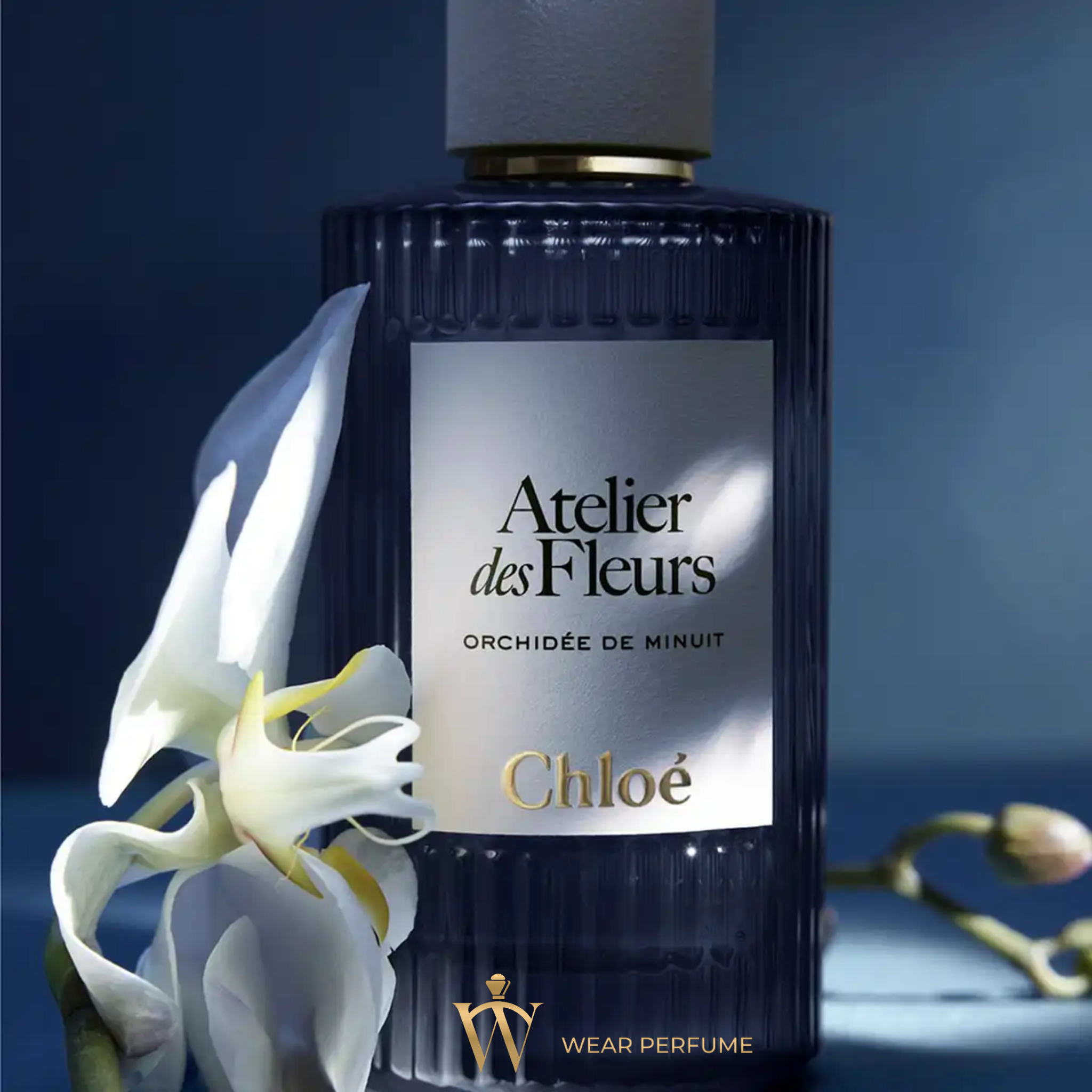  Chloe Atelier des Fleurs Orchidee de Minuit 