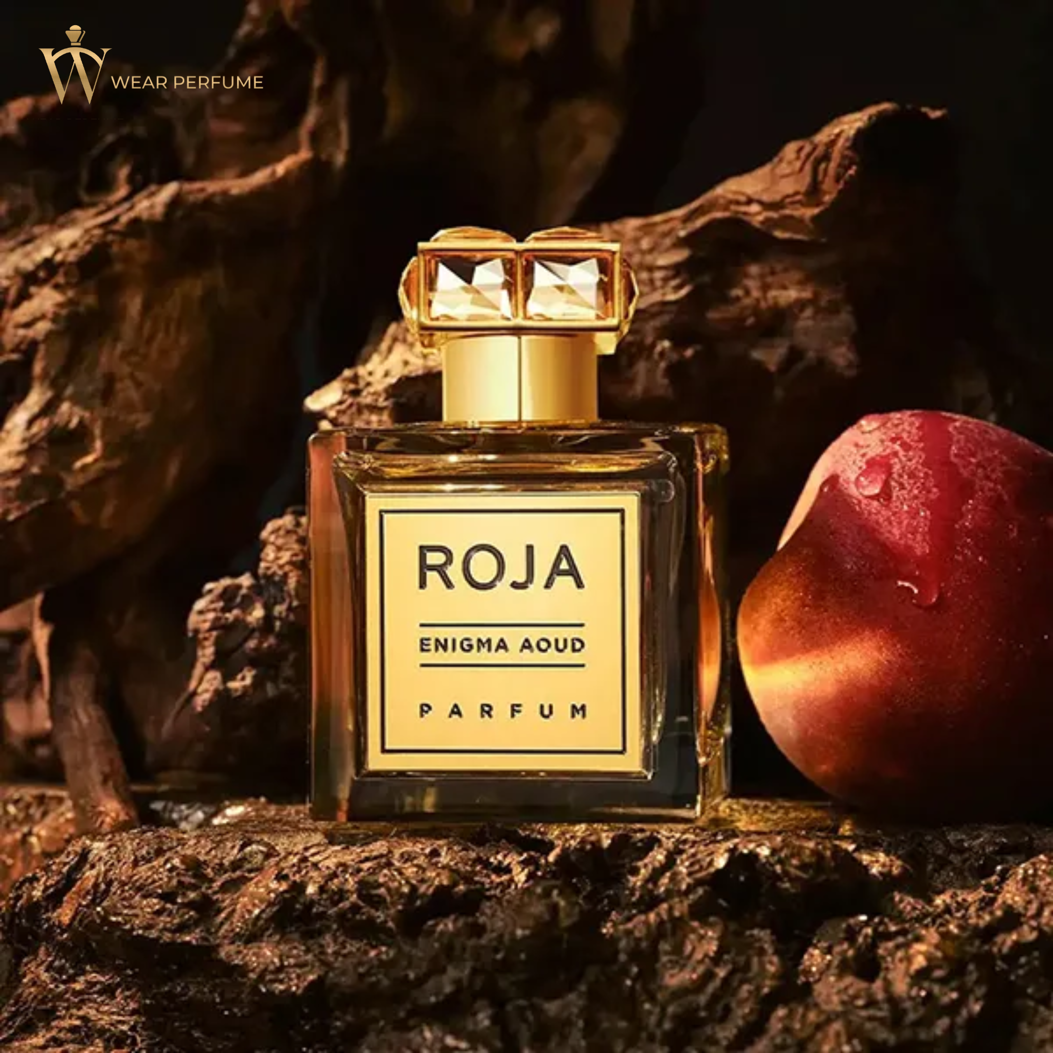  ROJA ENIGMA AOUD PARFUM 100ml 