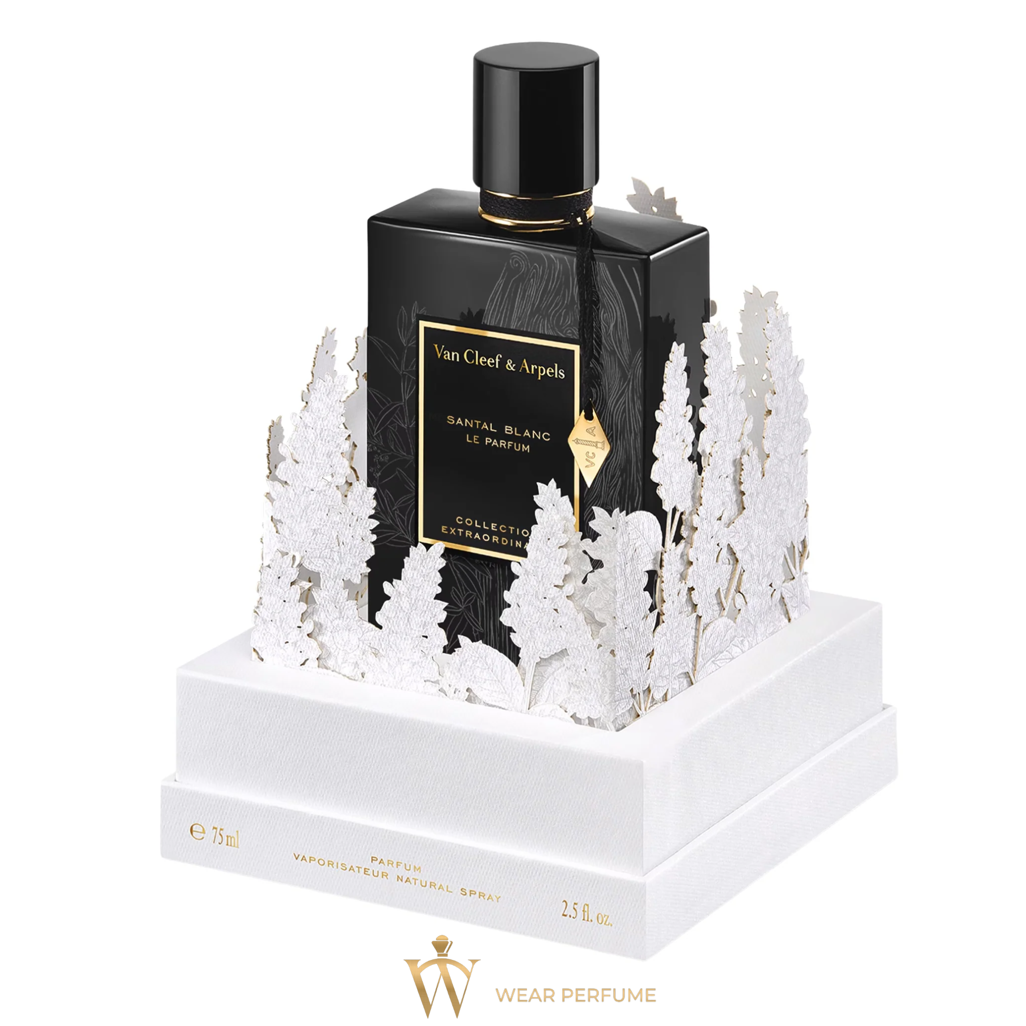  Santal Blanc Le Parfum 