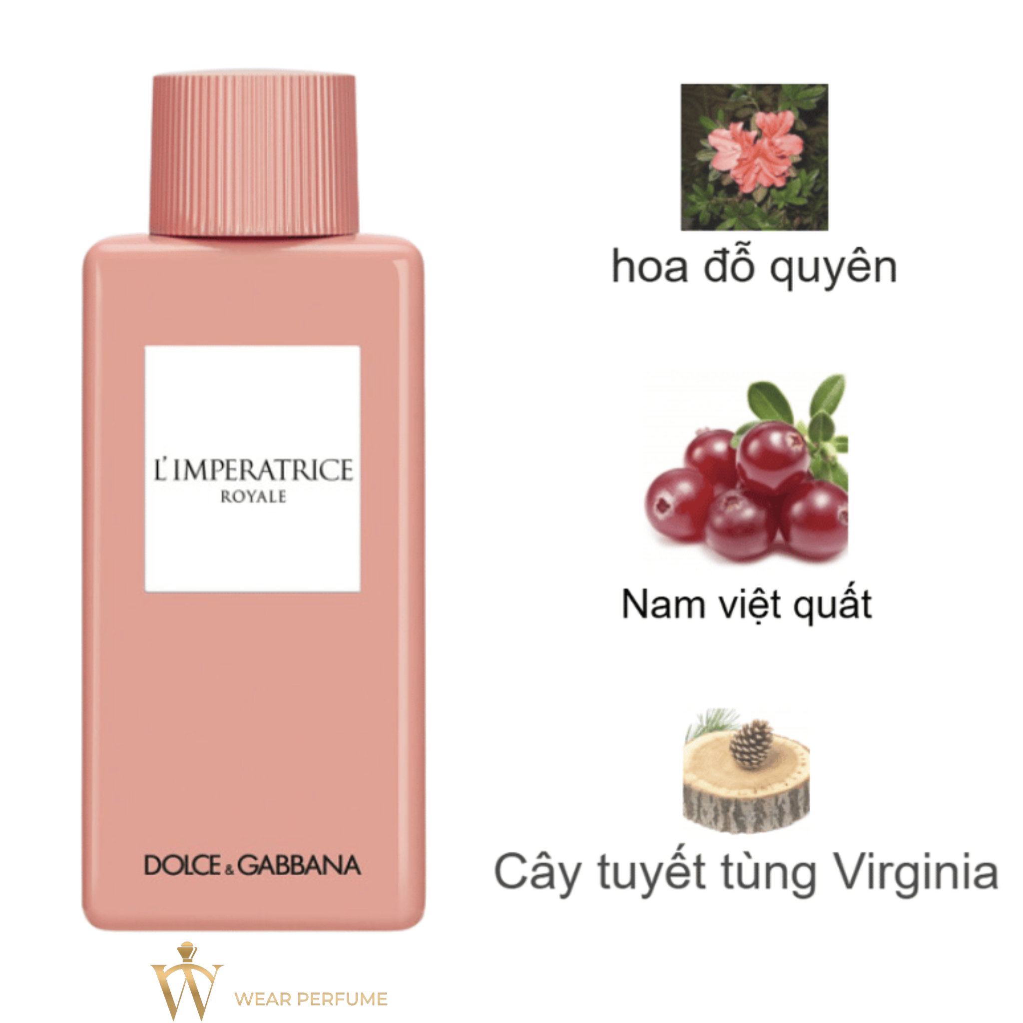  Dolce Gabbana L’Imperatrice Royale 