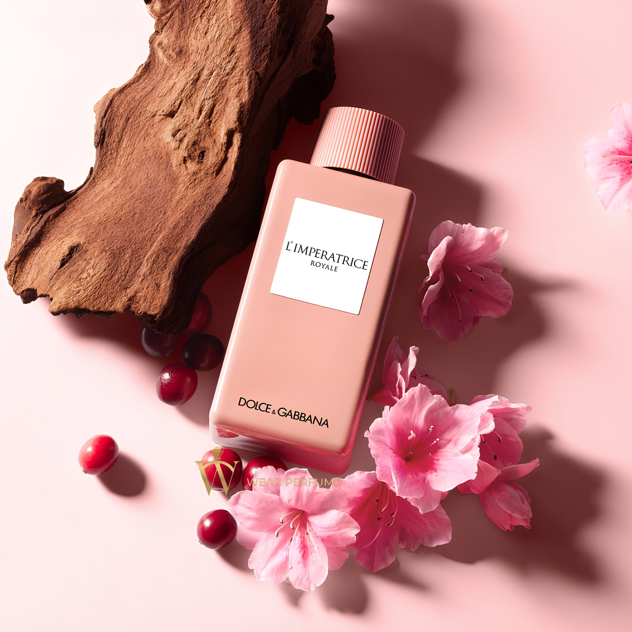  Dolce Gabbana L’Imperatrice Royale 
