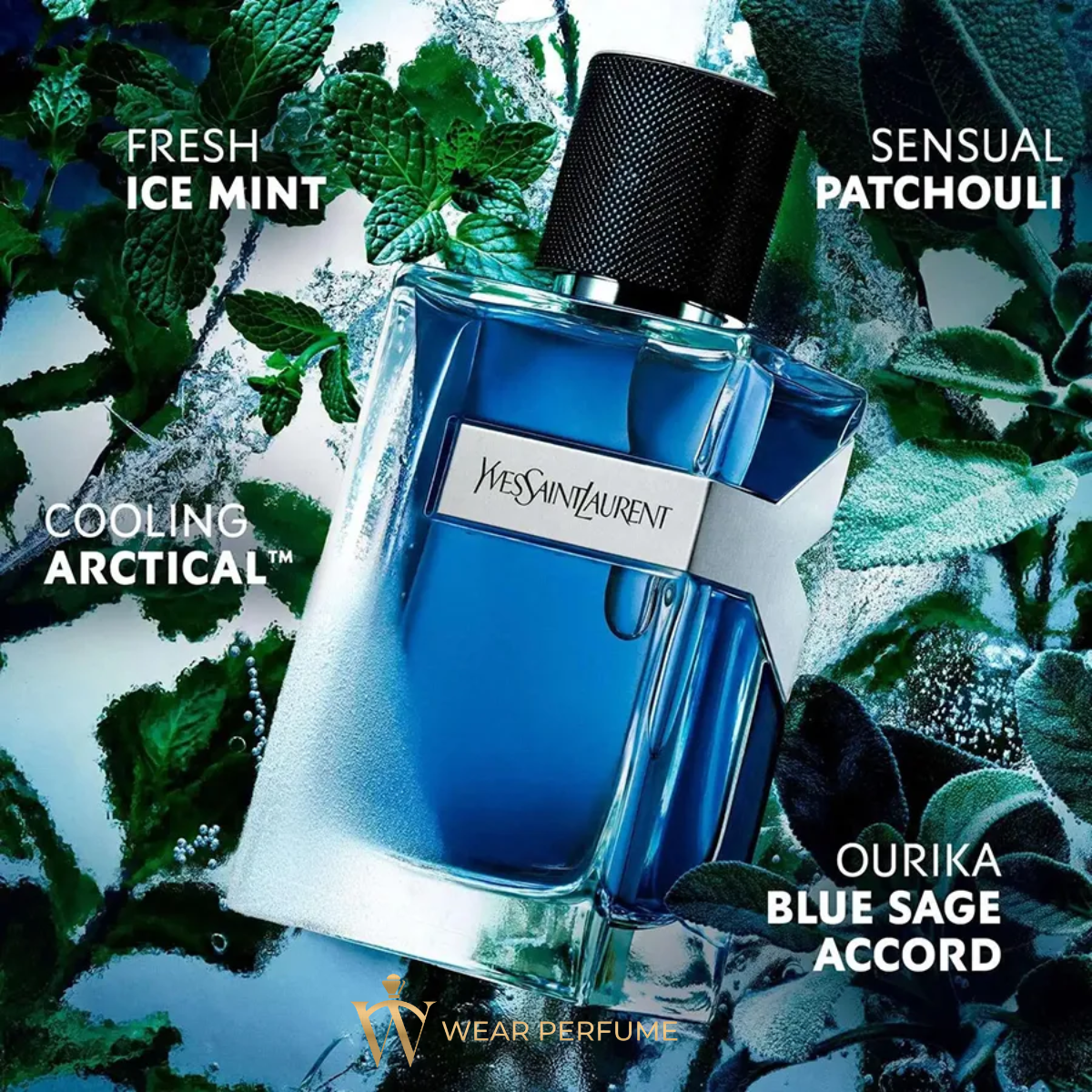  Yves Saint Laurent YSL Y Iced Cologne EDT Intense 