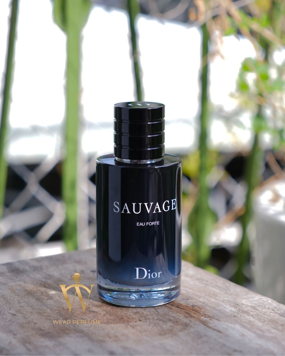  Dior Sauvage Eau Forte Parfum 