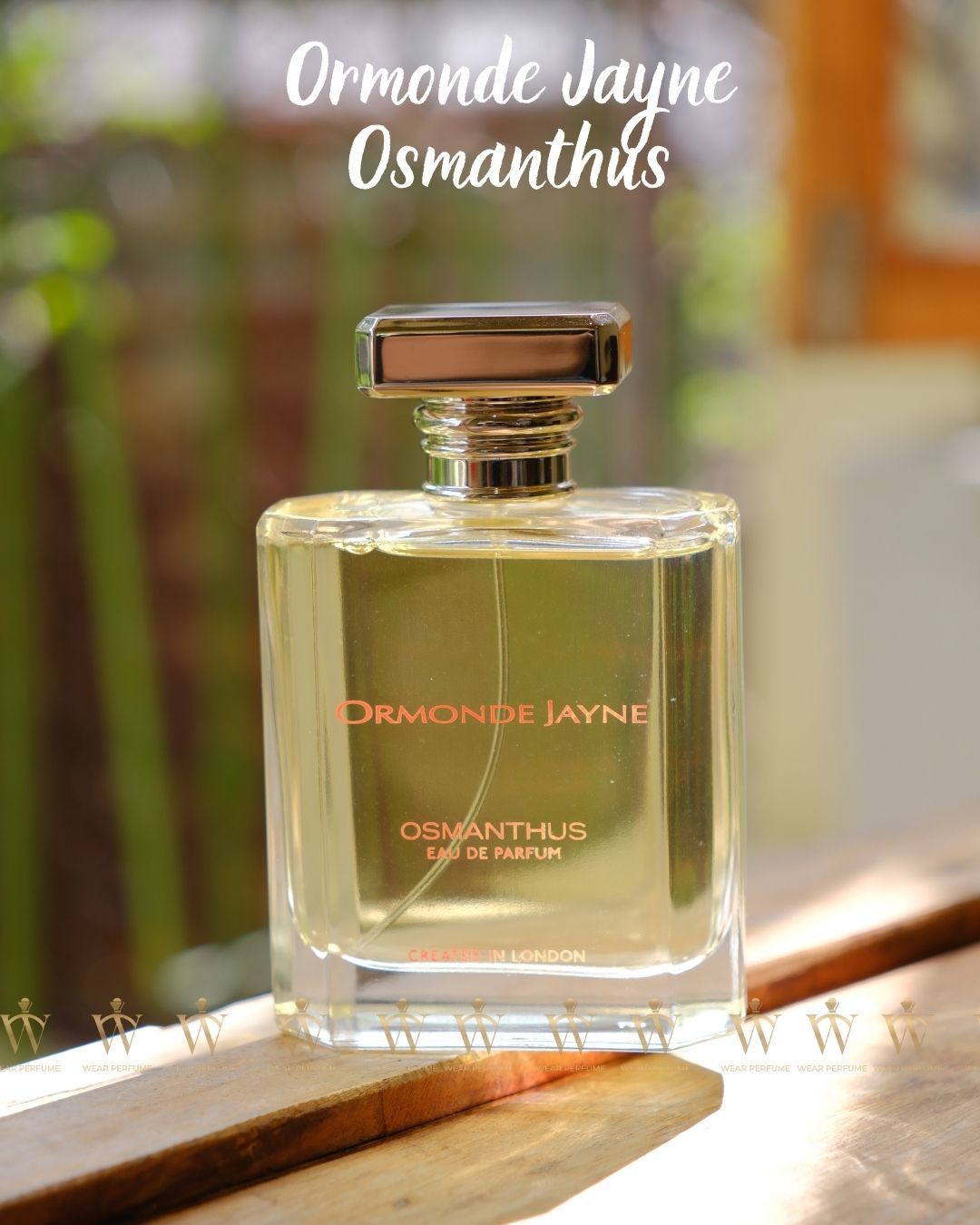  Ormonde Jayne Osmanthus 