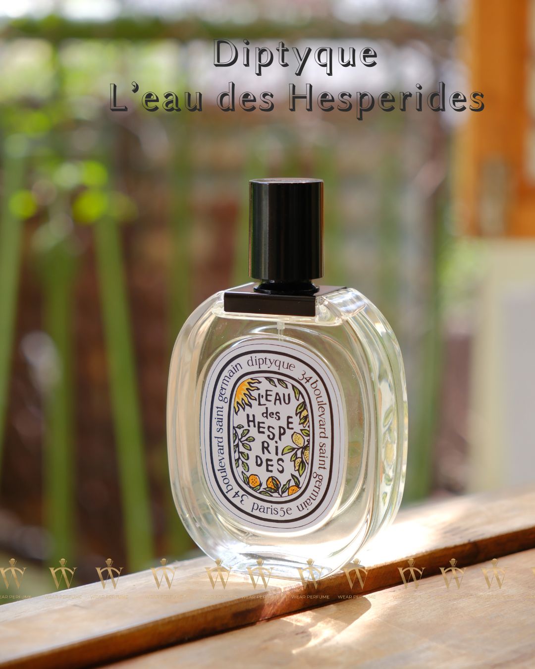 diptyque L'Eau des Hespérides 新品100ml限定版 Diptyque Eau Des Hesperides Woda Toaletowa 100 ml - opinie i