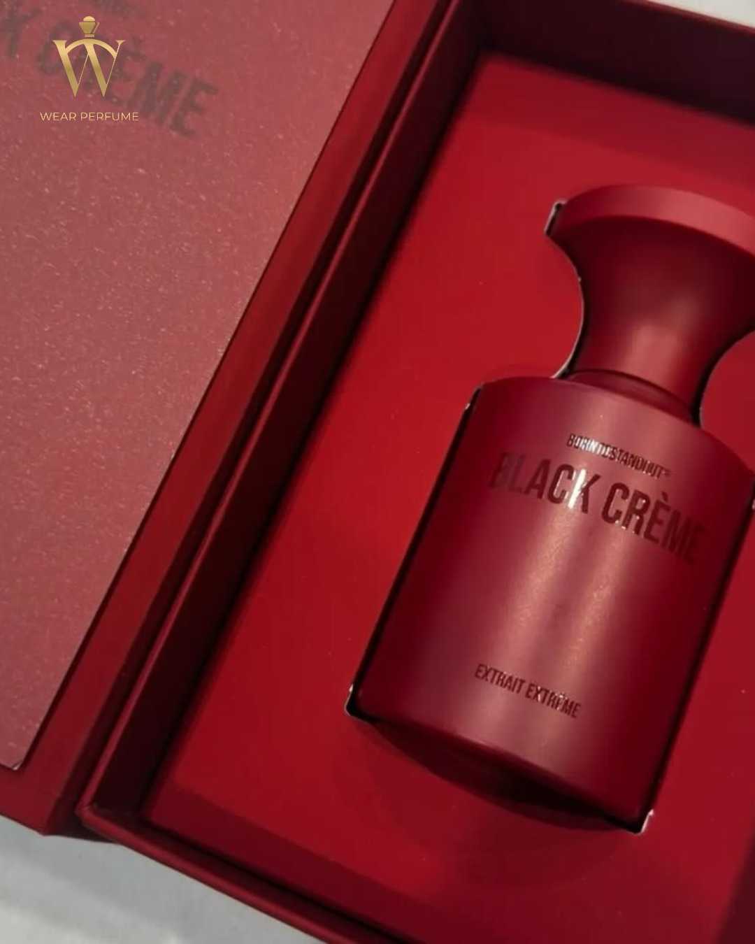  Borntostandout BTSO Black Creme Extrait Extreme 