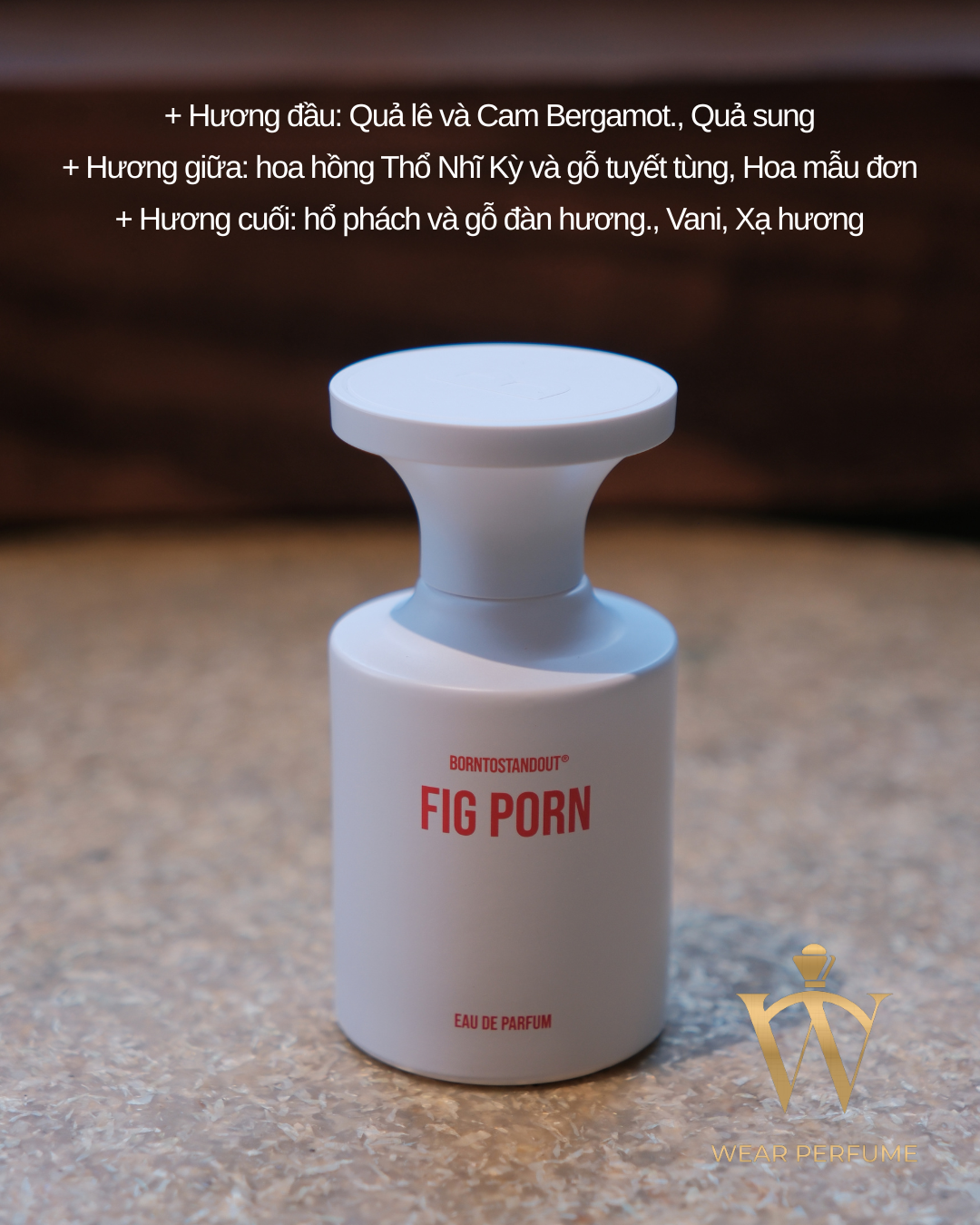  Borntostandout BTSO Fig Forn EDP 