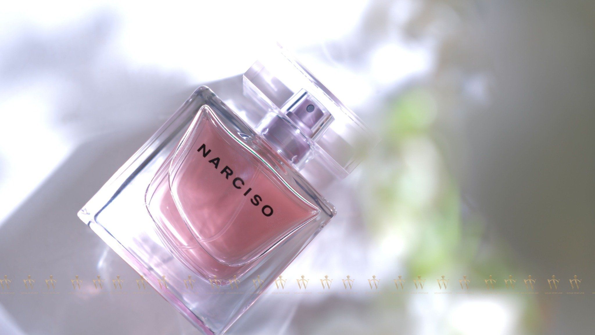  Narciso Radiante EDP 