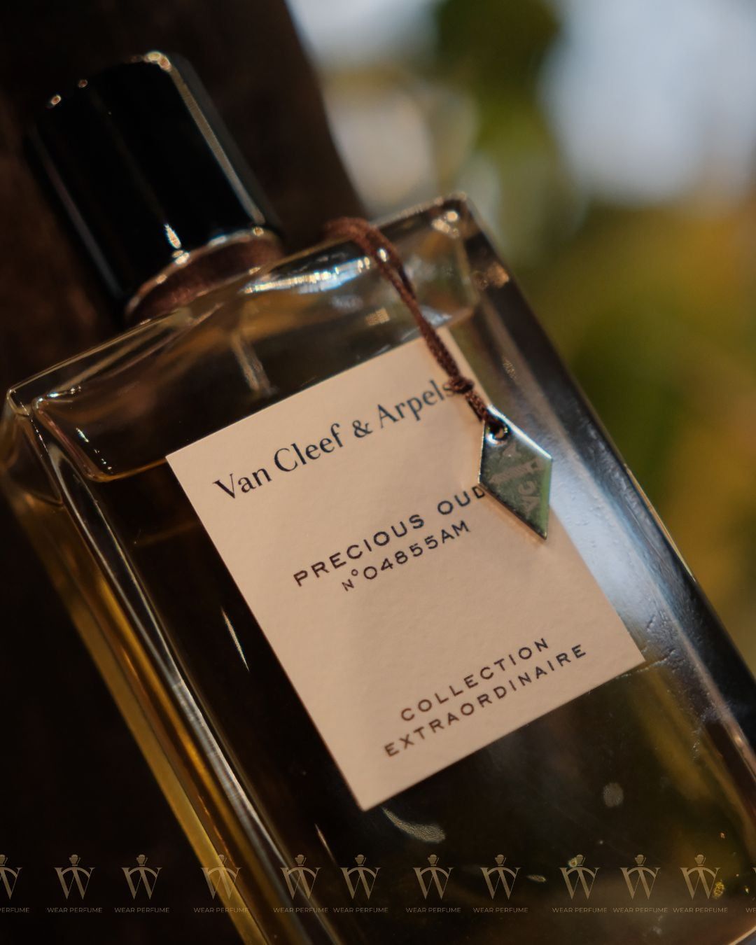  Van Cleef & Arpels Precious Oud 