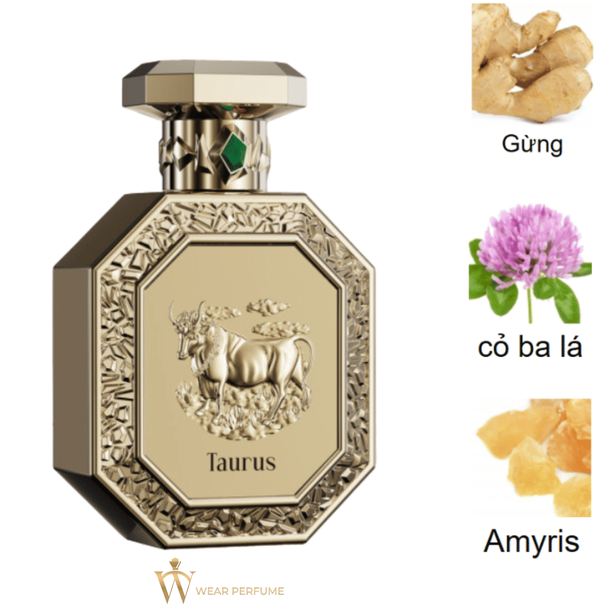  French Avenue Taurus (Cung Kim Ngưu) 