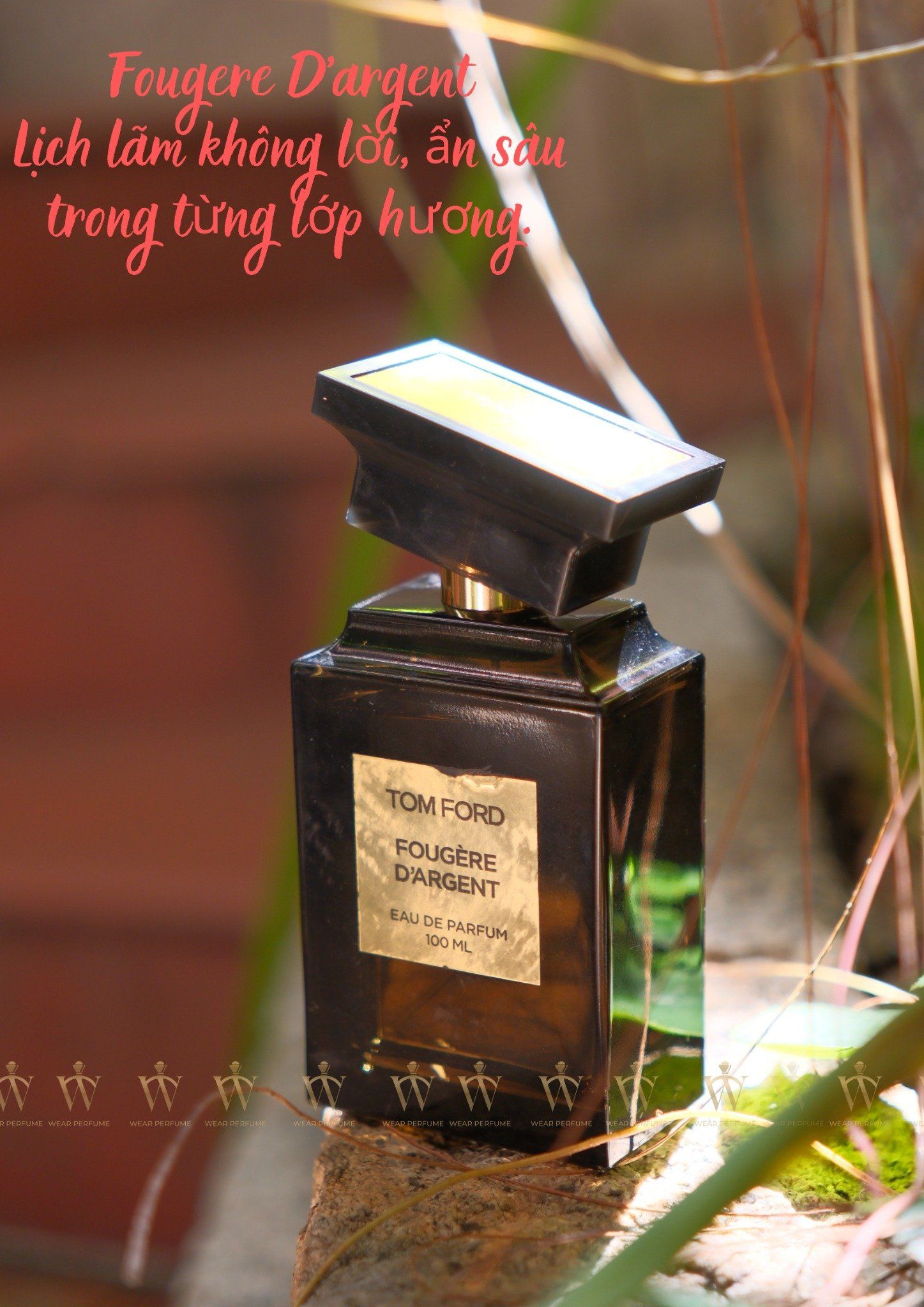  Tom Ford Fougère D’Argent EDP 