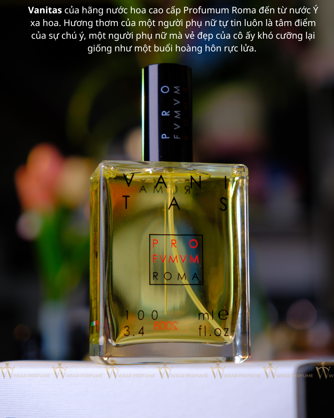  Profumum Roma Vanitas 