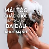  Dầu gội & xả trị gàu 2 trong 1 Head & Shoulder Classic Clean - Dưỡng tóc mềm mượt 