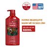  Dầu gội & xả cho nam 2 trong 1 Old Spice Bear Glove - 650ml 