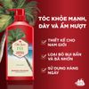  Dầu gội & xả cho nam 2 trong 1 Old Spice Fiji - 650ml 