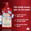  Dầu gội & xả cho nam 2 trong 1 Old Spice Fresh Clean - 650ml 